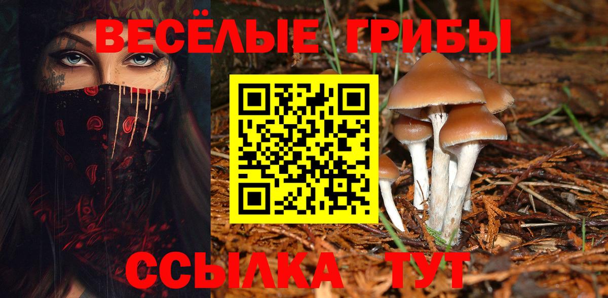 Галлюциногенные грибы мицелий  Галлюциногенные грибы GOLDEN TEACHER  Вход с VPN  Сургут 